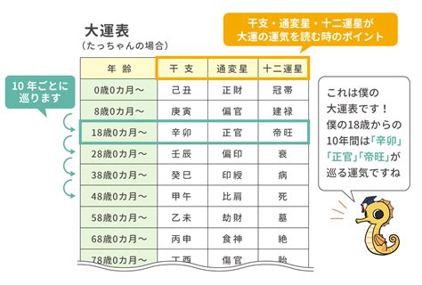 大運 胎|四柱推命【大運】とは？見方・過ごし方を解説｜10年の運気を占 